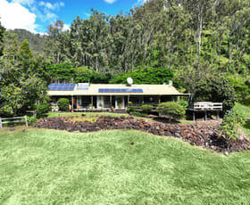 Rural / Farming commercial property for sale at 783 Lamington National Park Road Canungra QLD 4275