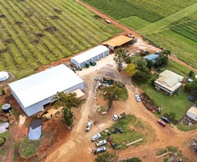 Rural / Farming commercial property for sale at 66 McLeods Road Bullyard QLD 4671