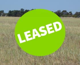Rural / Farming commercial property sold at Allotment 1 Cnr Bell Road and Carcuma Road Tintinara SA 5266