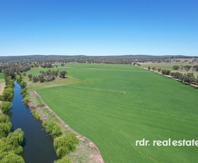 Rural / Farming commercial property for sale at 213 Mclachlans Lane Inverell NSW 2360