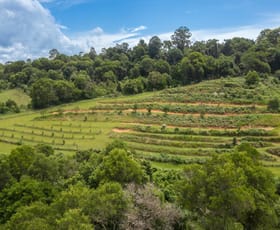Rural / Farming commercial property for sale at 104 Tilbaroo Rd Elands NSW 2429