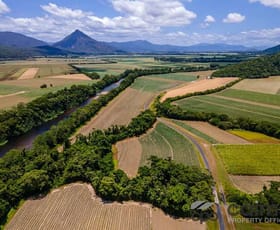 Rural / Farming commercial property for sale at 47R Barbagallo Road Aloomba QLD 4871