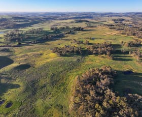 Rural / Farming commercial property for sale at Crooked Bridge 3624 Monaro Highway Nimmitabel NSW 2631