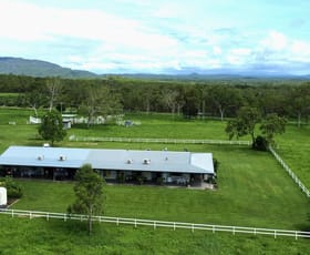 Rural / Farming commercial property for sale at 6 McMillan Road Paddys Green QLD 4880