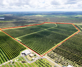 Rural / Farming commercial property sold at North Gregory QLD 4660