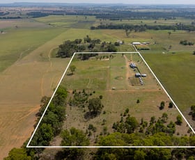 Rural / Farming commercial property for sale at 221 Black Lead Lane Gulgong NSW 2852