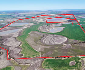 Rural / Farming commercial property sold at Harvey Road North Lake Grace WA 6353