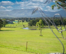 Rural / Farming commercial property for sale at 490 Back Forest Road Far Meadow NSW 2535