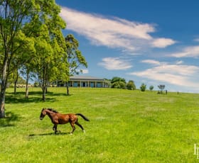 Rural / Farming commercial property for sale at 490 Back Forest Road Far Meadow NSW 2535