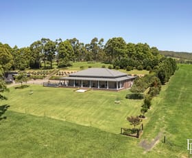 Rural / Farming commercial property for sale at 490 Back Forest Road Far Meadow NSW 2535