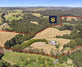 Rural / Farming commercial property for sale at 4235 Colac - Lavers Hill Road Weeaproinah VIC 3237