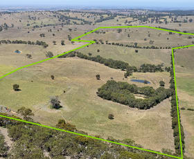 Rural / Farming commercial property for sale at Lot 2 Old Bull Creek Rd Strathalbyn SA 5255