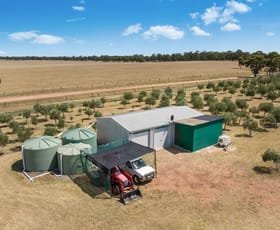 Rural / Farming commercial property for sale at Chamberlains Road Inglewood VIC 3517