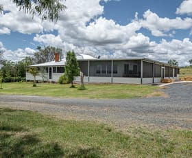 Rural / Farming commercial property for sale at Ferndale/2794 Elcombe Road Bangheet NSW 2404