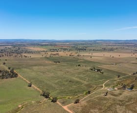 Rural / Farming commercial property for sale at 330 Beulong Road Yeoval NSW 2868