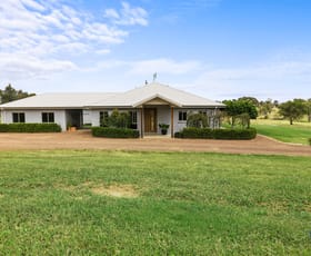 Rural / Farming commercial property for sale at 87 Mcbeths Road Young NSW 2594