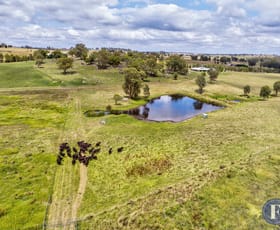 Rural / Farming commercial property sold at 87 Mcbeths Road Young NSW 2594