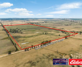 Rural / Farming commercial property for sale at Inglewood-Powlett Road Fiery Flat VIC 3518