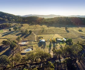 Rural / Farming commercial property sold at 255 Lower Piambong Road Mudgee NSW 2850
