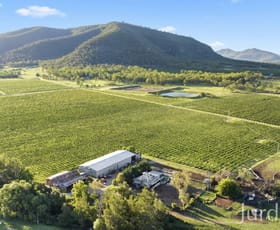 Rural / Farming commercial property for sale at 803 Milbrodale Road Broke NSW 2330