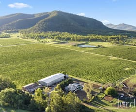 Rural / Farming commercial property sold at 803 Milbrodale Road Broke NSW 2330