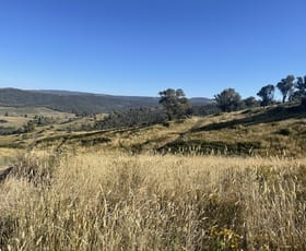Rural / Farming commercial property sold at 1230 Maragle Road Maragle NSW 2653