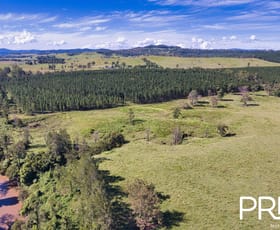 Rural / Farming commercial property for sale at 324 Pines Road Edenville NSW 2474