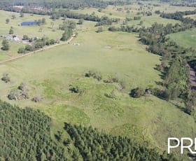 Rural / Farming commercial property for sale at 324 Pines Road Edenville NSW 2474