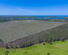 Rural / Farming commercial property for sale at 467 Hastings River Drive Port Macquarie NSW 2444