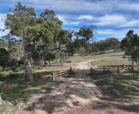 Rural / Farming commercial property for sale at 1713 Back Creek Road Tenterfield NSW 2372