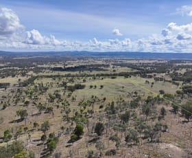 Rural / Farming commercial property sold at Lot 1 Roos Road Tenterfield NSW 2372