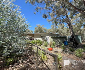 Rural / Farming commercial property for sale at 4858 Calder Highway Kurting VIC 3517