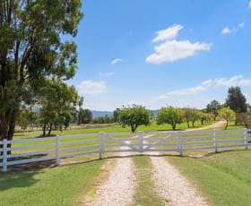 Rural / Farming commercial property sold at 287 Iron Barks Road Mudgee NSW 2850