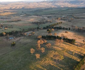 Rural / Farming commercial property sold at Lot 1 Oaky Creek Lane Vittoria NSW 2799