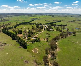 Rural / Farming commercial property for sale at 1994 Range Road Mummel NSW 2580