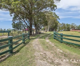 Rural / Farming commercial property sold at 480 Duckenfield Road Duckenfield NSW 2321
