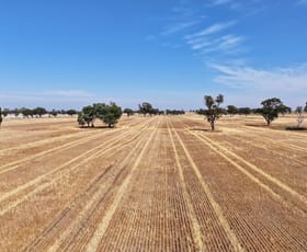 Rural / Farming commercial property sold at 595 Boomahnoomoonah Road Bundalong VIC 3730