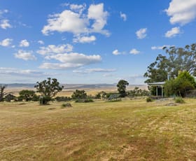 Rural / Farming commercial property for sale at 3965 The Snowy River Way Dalgety NSW 2628