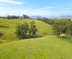 Rural / Farming commercial property for sale at 601 Glen William Road Clarence Town NSW 2321