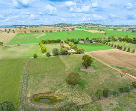 Rural / Farming commercial property sold at 265 Porters Mount Road Cowra NSW 2794