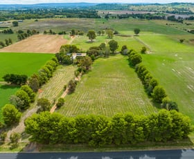 Rural / Farming commercial property for sale at 265 Porters Mount Road Cowra NSW 2794