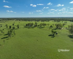 Rural / Farming commercial property sold at 211 Bungeworgorai Lane Roma QLD 4455