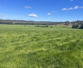 Rural / Farming commercial property for sale at 1152 Forester Road Forester TAS 7260