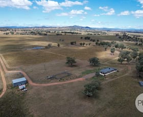 Rural / Farming commercial property sold at 167 Ascot-Calala Road Tamworth NSW 2340