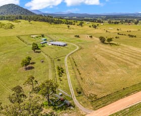 Rural / Farming commercial property for sale at 570 Warraba Road The Branch NSW 2425