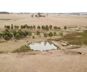 Rural / Farming commercial property sold at 6 Wolseley Park Road Tumbarumba NSW 2653