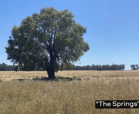 Rural / Farming commercial property for sale at Tullamore NSW 2874