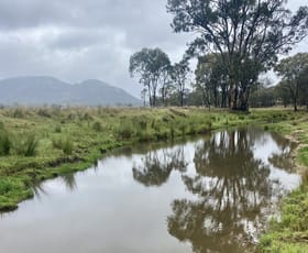 Rural / Farming commercial property for sale at 293 Mossy Rock Lane Rylstone NSW 2849