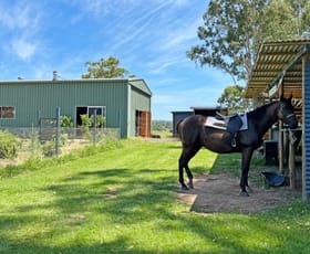 Rural / Farming commercial property for sale at 7888 Bruxner Highway Tabulam NSW 2469