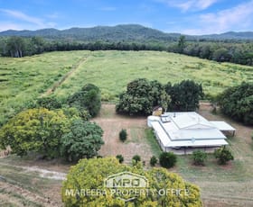 Rural / Farming commercial property sold at 43 Grigg Road Biboohra QLD 4880